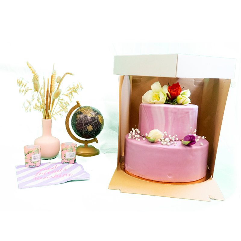 IRELINM 10 Stück Tortenboxen 30x30x20cm - Mit Kuchenplatte & Sichtfenster